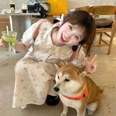 灵域第六季